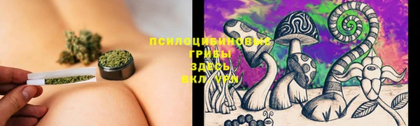 a pvp Арсеньев