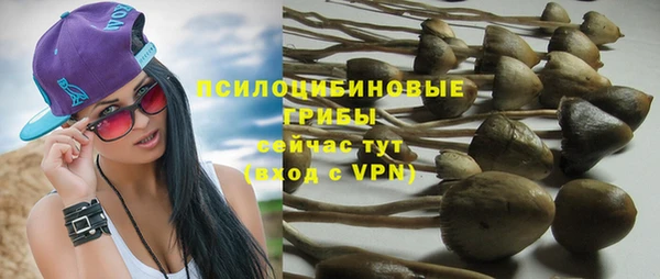 прущая мука Алзамай