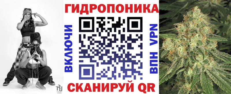 купить закладку  Жирновск  Бошки Шишки план 